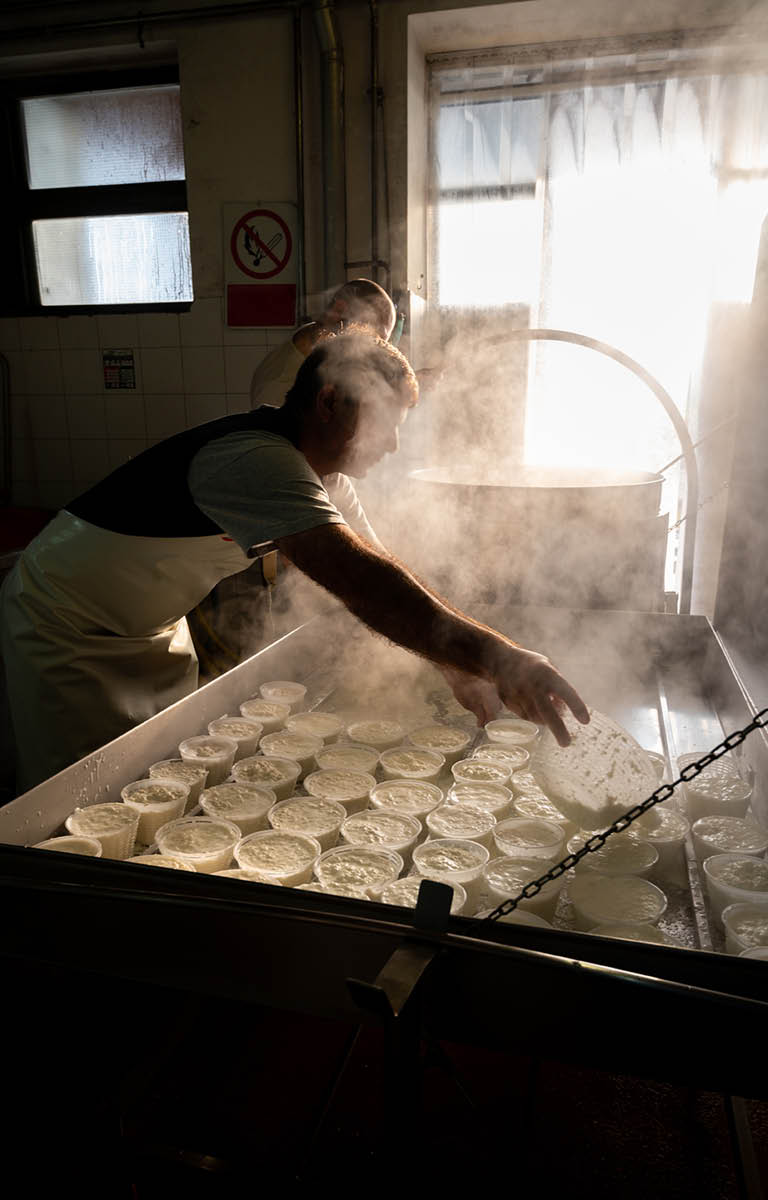 Process of making fresh white soft ricotta whey cheese early morning on small cheese farm in Parma, Italy